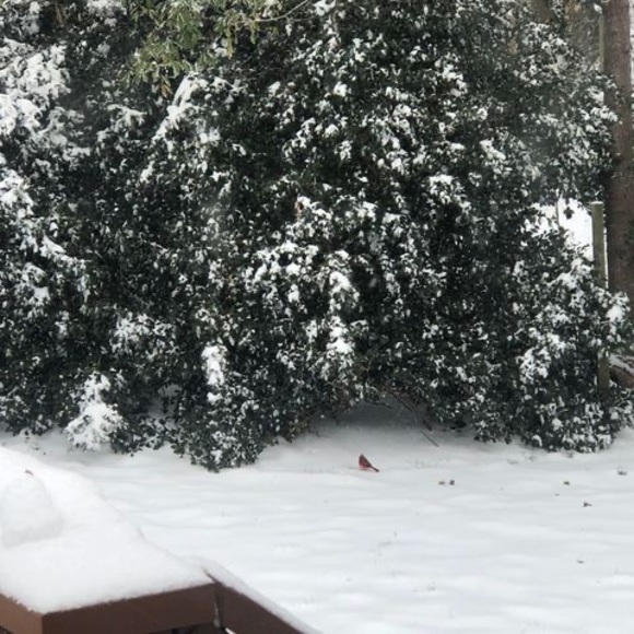 Meet your Posher, Johanna - Picture 1 of 1